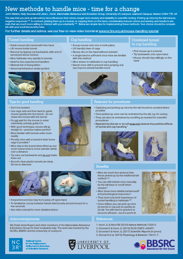 Mouse Handling Posters Nc3rs